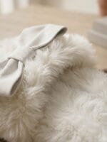 Pantoufle Hivernal 2026 – Image 2