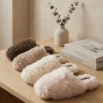 Pantoufles hivernales